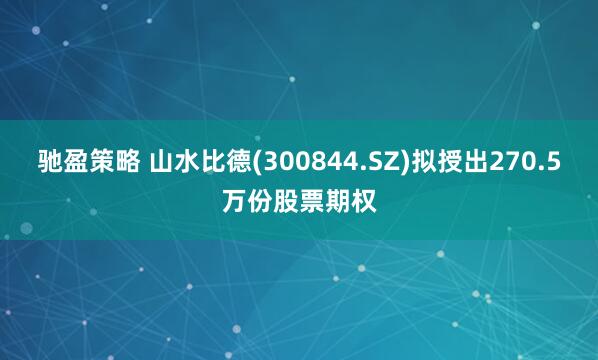 驰盈策略 山水比德(300844.SZ)拟授出270.5万份股票期权