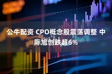 公牛配资 CPO概念股震荡调整 中际旭创跌超6%