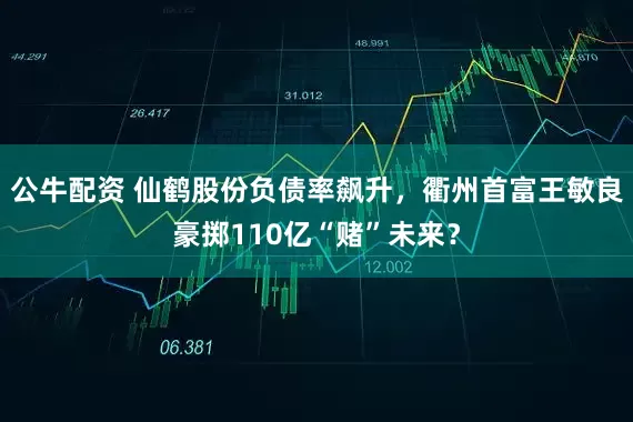 公牛配资 仙鹤股份负债率飙升，衢州首富王敏良豪掷110亿“赌”未来？