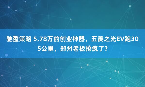 驰盈策略 5.78万的创业神器，五菱之光EV跑305公里，郑州老板抢疯了？