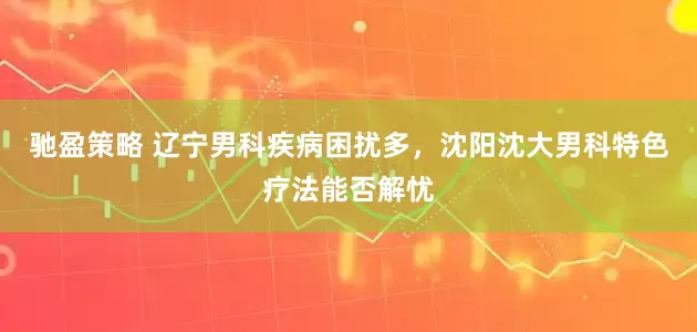驰盈策略 辽宁男科疾病困扰多，沈阳沈大男科特色疗法能否解忧
